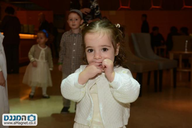 תמונה גדולה